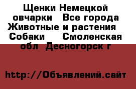 Щенки Немецкой овчарки - Все города Животные и растения » Собаки   . Смоленская обл.,Десногорск г.